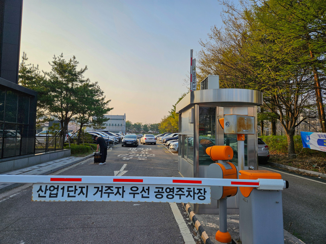 황구지천 벚꽃 주차