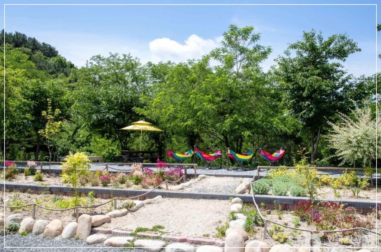 양평 가볼만한곳 베스트10 양평 양떼목장