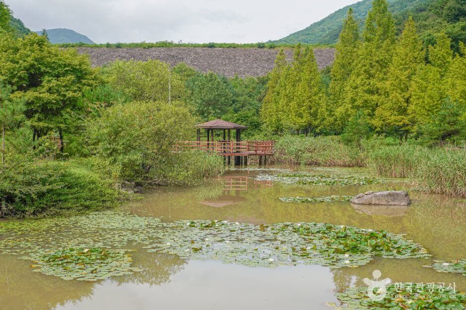 의령 가볼만한곳 베스트 10