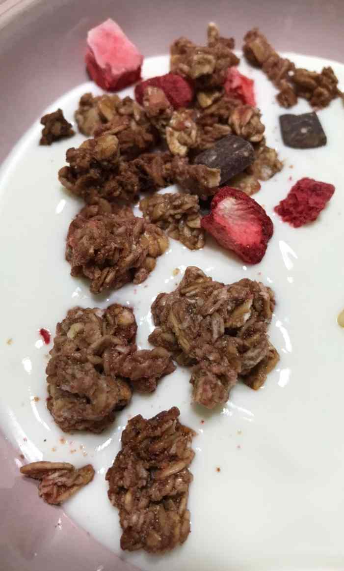 다크초콜릿칩과 동결건조딸기칩