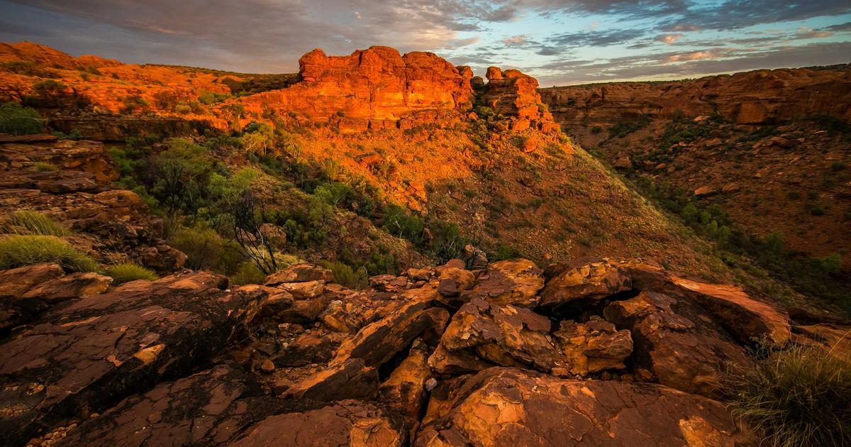 person holding a supplement bottle and a glass of water, feeling stuffy nose, autumn leaves in background