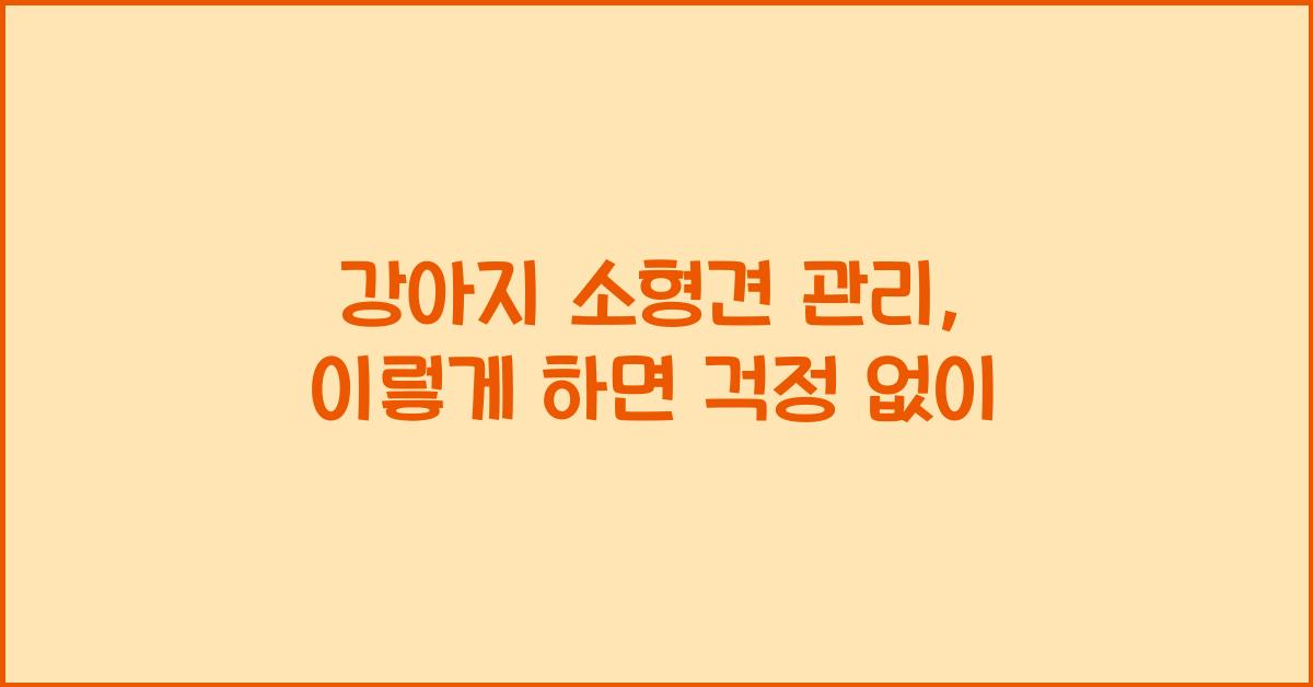 강아지 소형견 관리