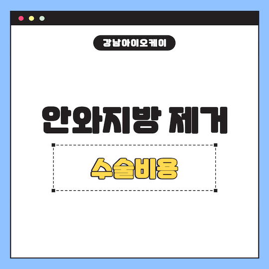 안와지방-제거
