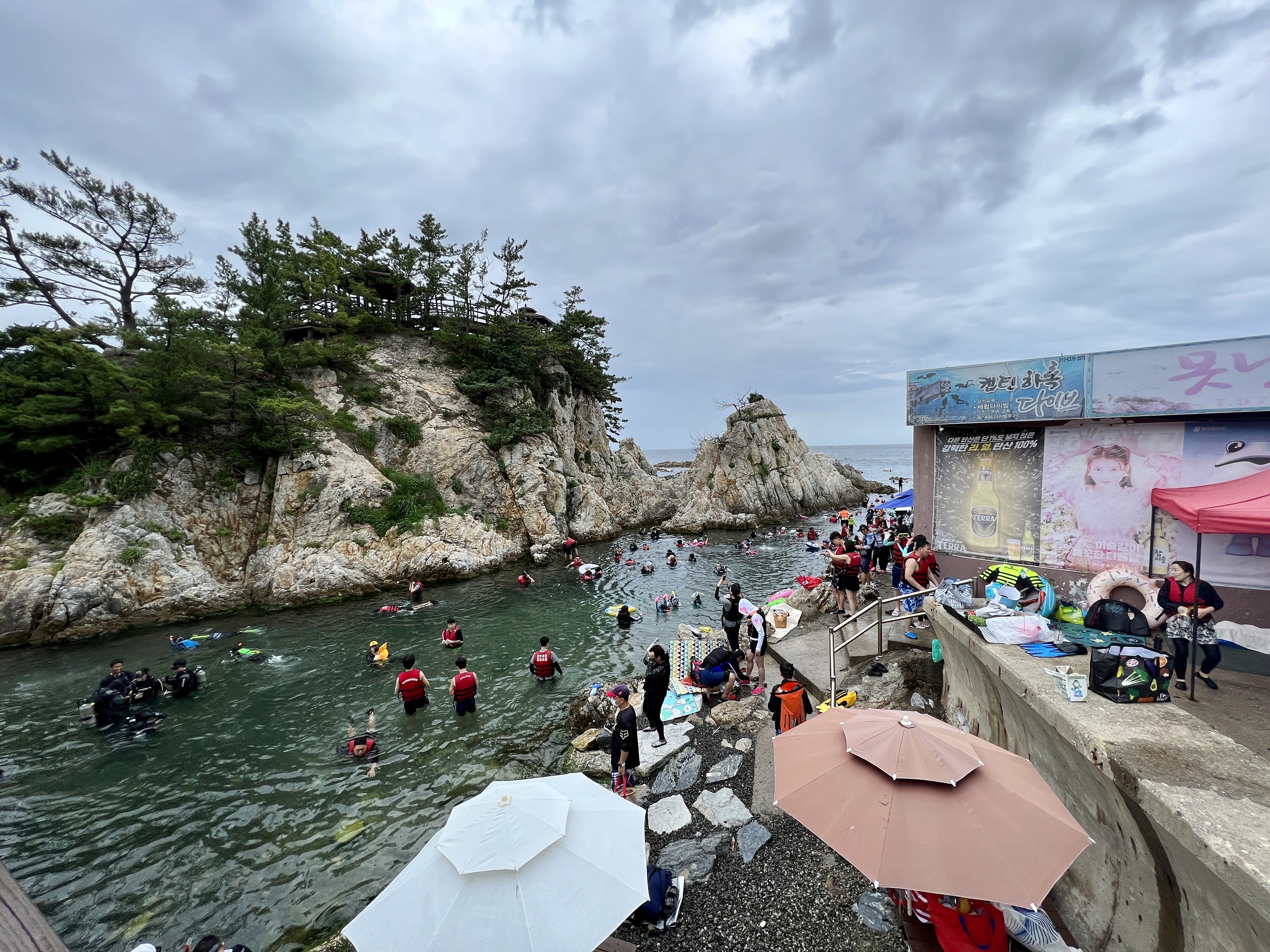 장호항 스노클링