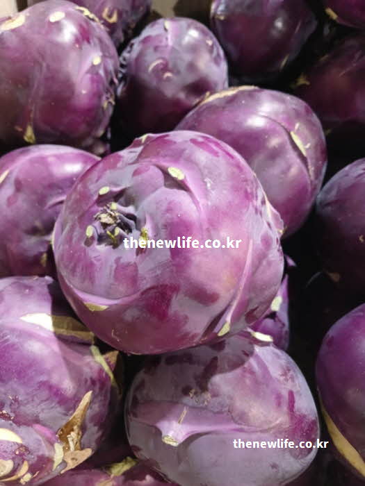 콜라비 효능의 요리 활용과 영양가치가 풍부한 실사진