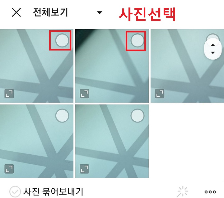 앨범의 사진 보임