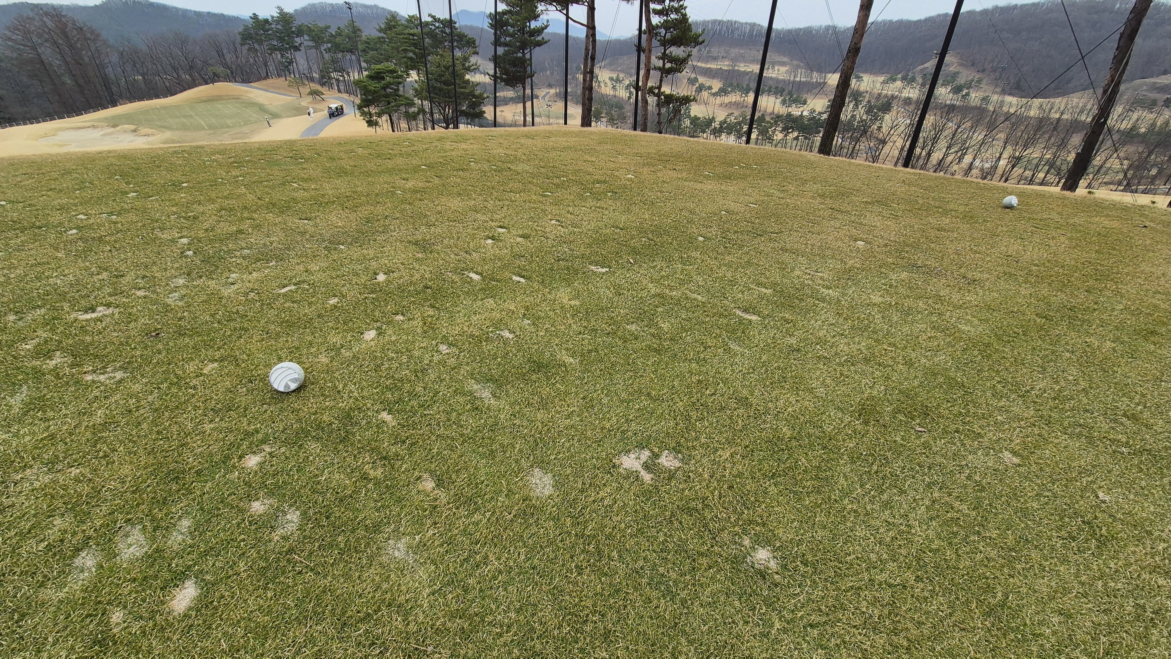 세현cc 티잉구역 상태