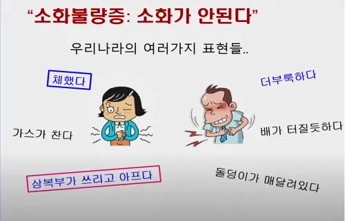 소화불량증에 대한 다양한 표현_모두 기능성 소화불량증을 암시한다