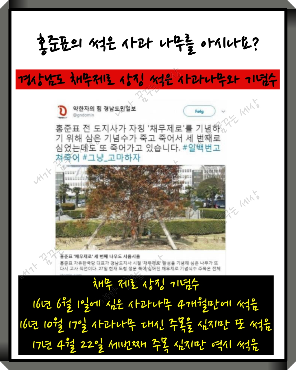 홍준표의 사과 나무를 아시나요?