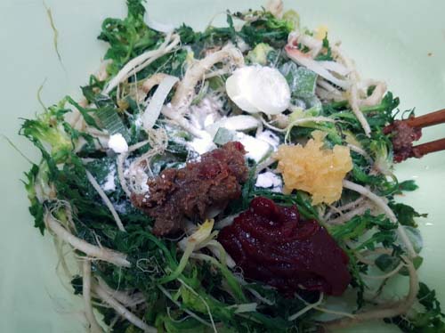 2월 제철 반찬 : 새콤달콤 냉이 무침 맛있게 만드는 법 4. 새콤달콤 냉이무침 버무리기