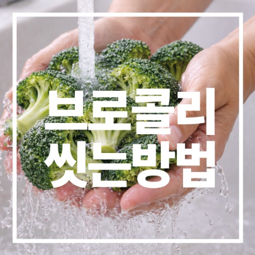 브로콜리 씻는방법