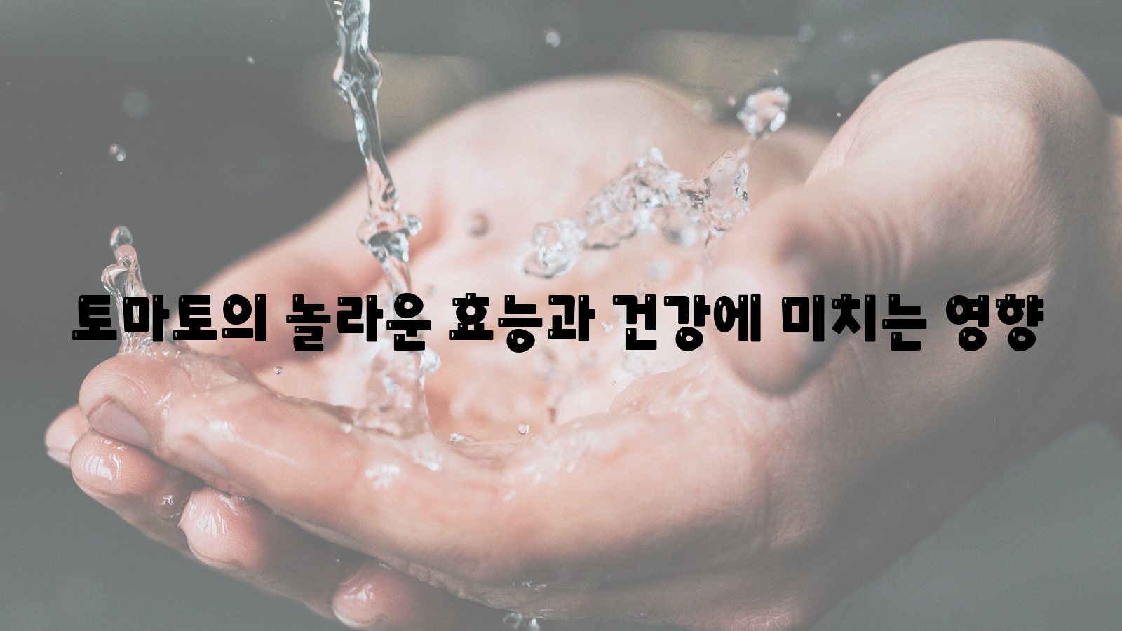 토마토, 놀라운 효능, 건강 영향