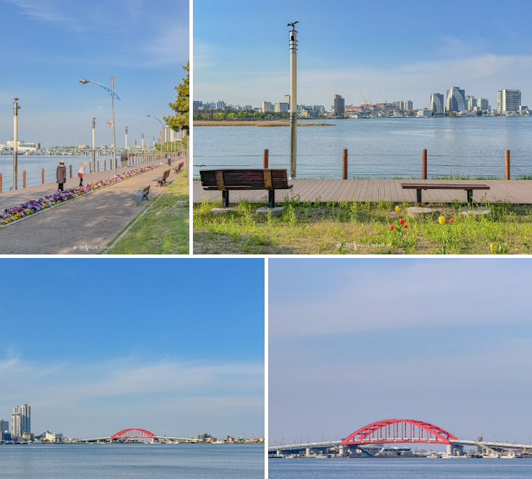 호수 주변 사진들