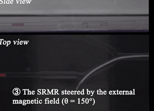 혈관 진입 미니 로봇, 수술 완료!(한양대팀) VIDEO: Small Magnetic Robot Completes Vascular Surgery