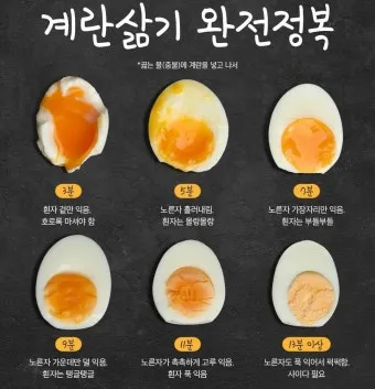 계란 삶는 시간 황금레시피_3