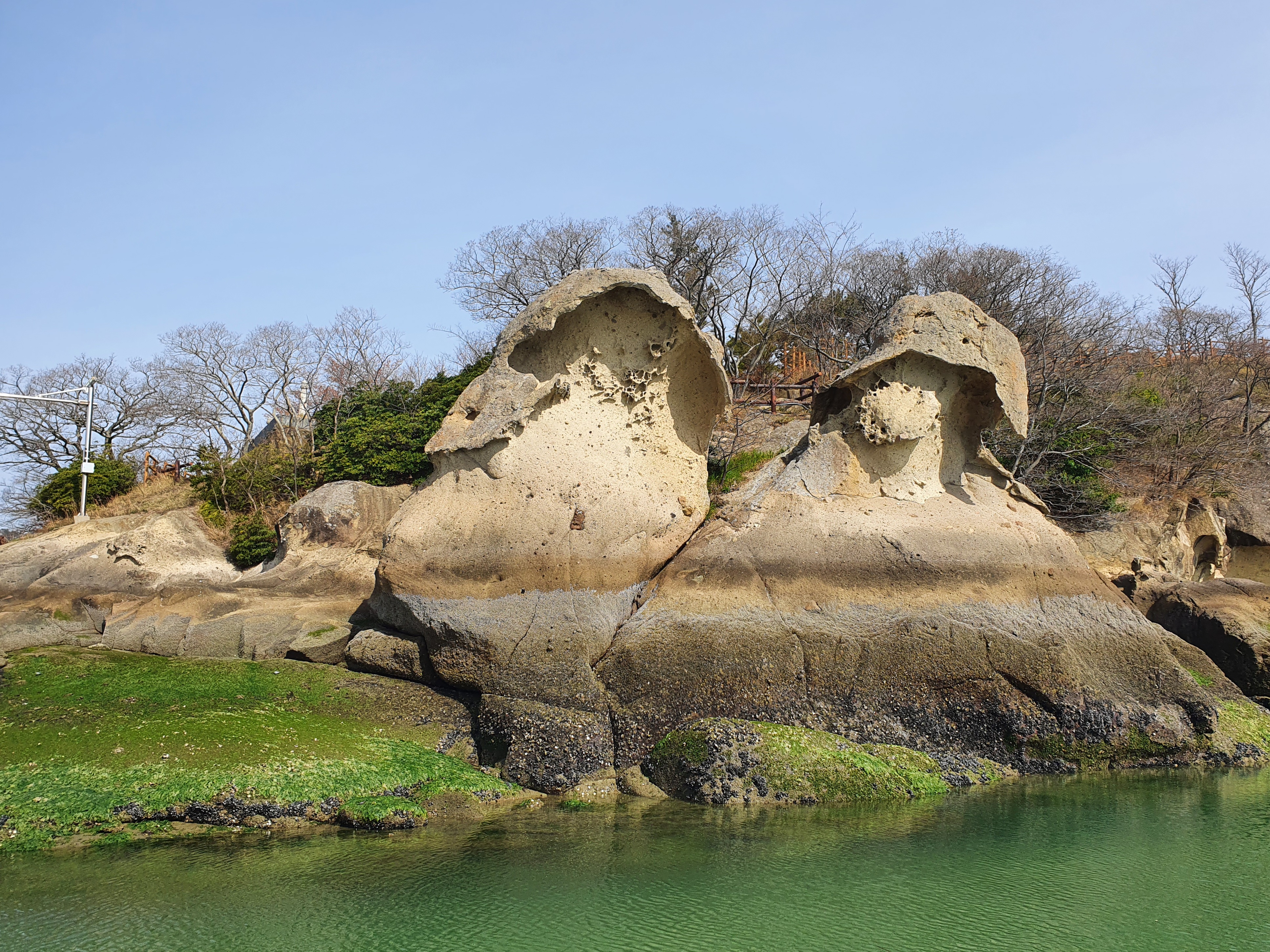 벚꽃 개화시기 2023