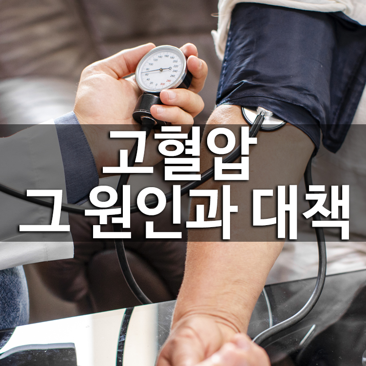 고혈압, 그 원인과 대책