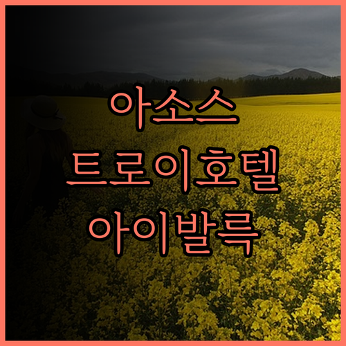 아소스 트로이 포트 호텔 후기, 아이