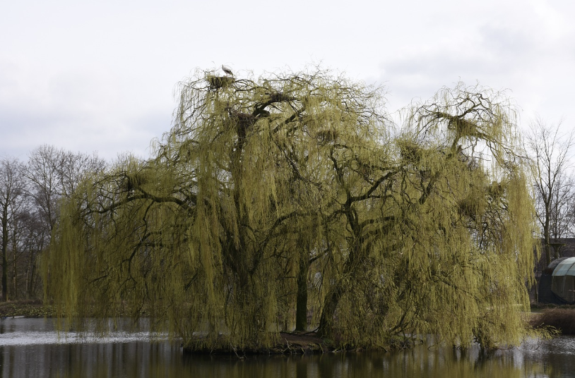 서울 직장인의 스트레스 해소를 위한 디톡스 일상