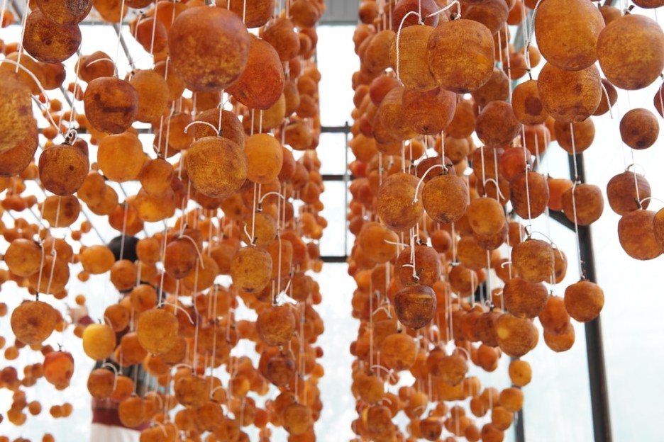 감을-말리고-있는-모습