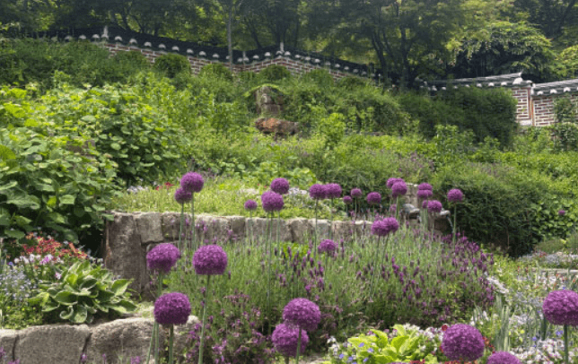 화담숲 예약 방법&amp;#44; 모노레일 시간