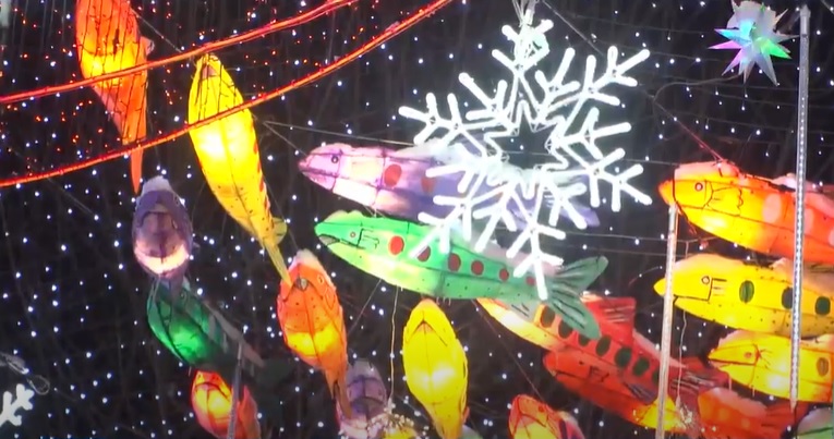 화천 산천어축제 선등거리 점등식