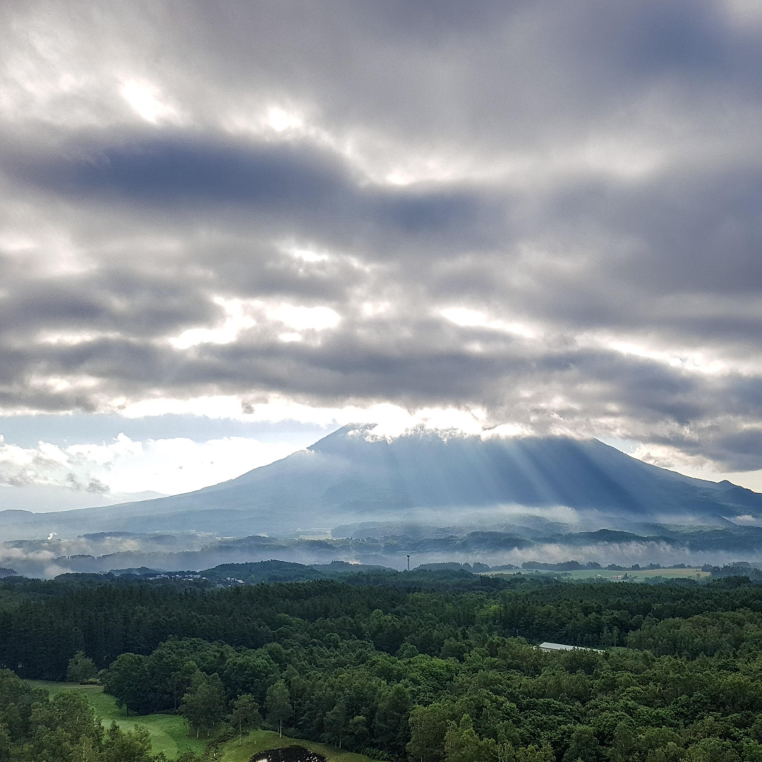 훗카이도 여름 여행 관련 사진