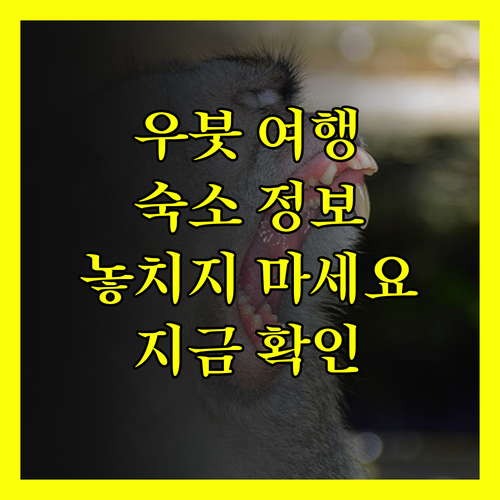 우붓 여행 계획 중이세요? 놓칠 수