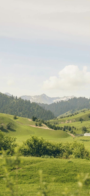 스마트폰 배경화면 잠금화면 자연 풍경 무료 다운로드
