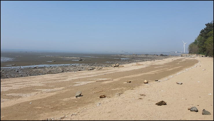 대부도-해변-전경2