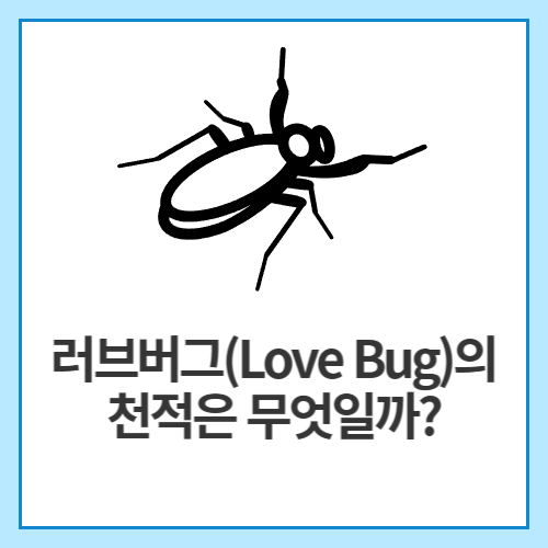 러브버그(Love Bug)의-천적은-무엇일까