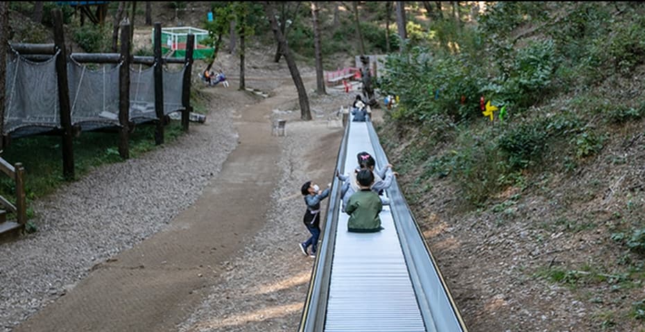 [반려견 동반, 가족 여행지]평강랜드❘아이들과 함께하는 반려견 놀이터, 캠핑장