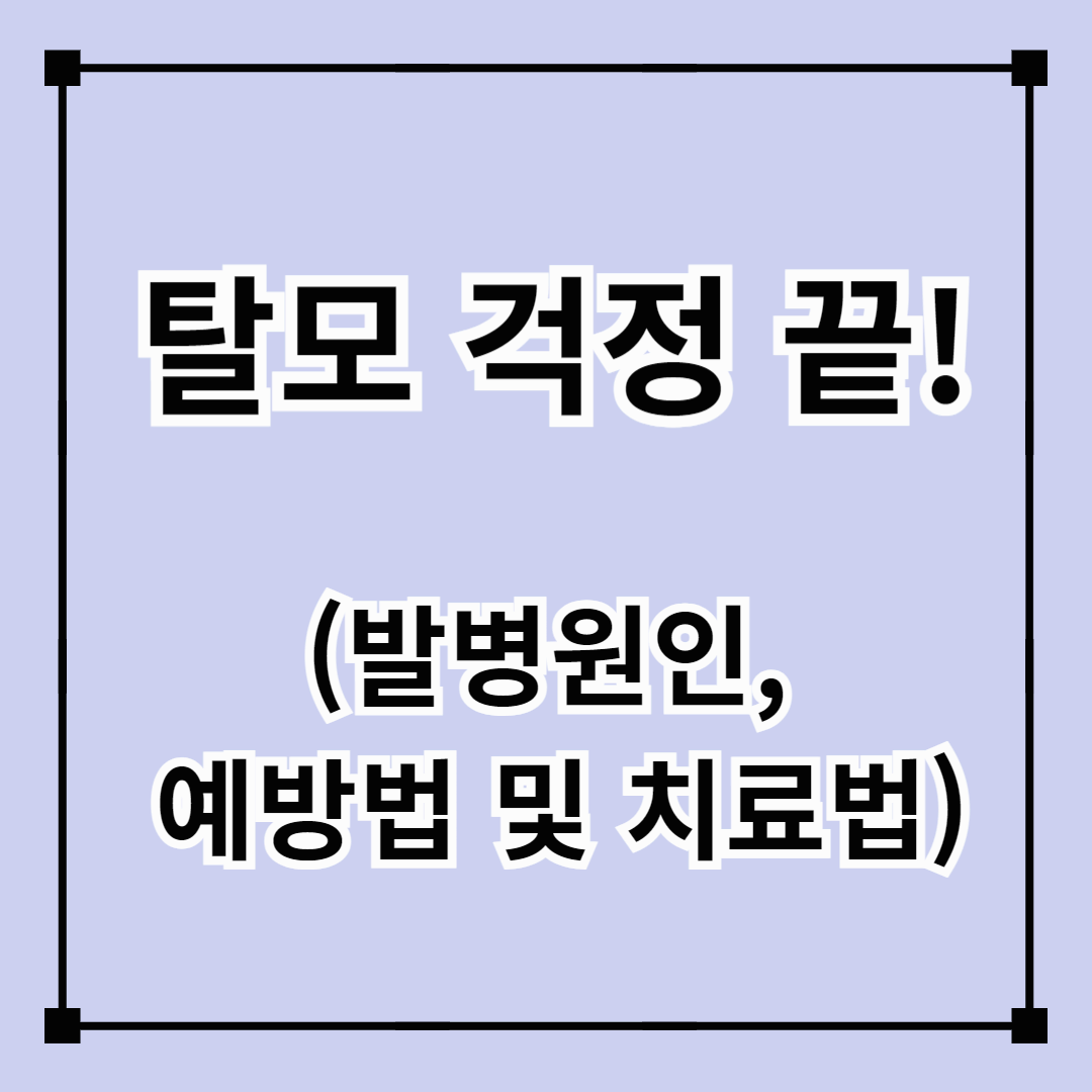 탈모 걱정 끝! (예방방법, 발병원인, 치료법)