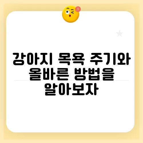 강아지 목욕 주기와 올바른 방법을 알아보자