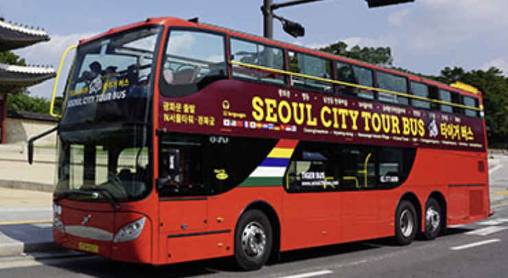 서울 시티투어버스 타이거 예약방법 가격 남산 노선 단풍 야경 꿀팁