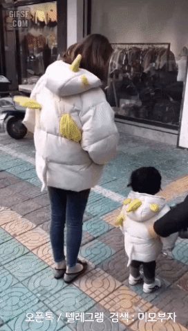 움짤