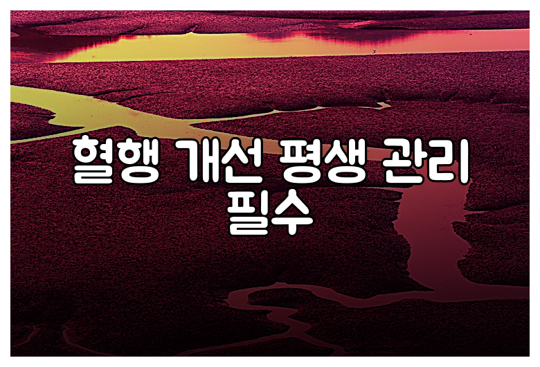 혈행 개선 평생 관리 필수