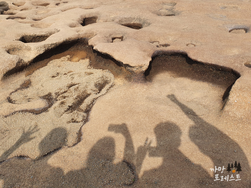 사계 해변 그림자 인증샷