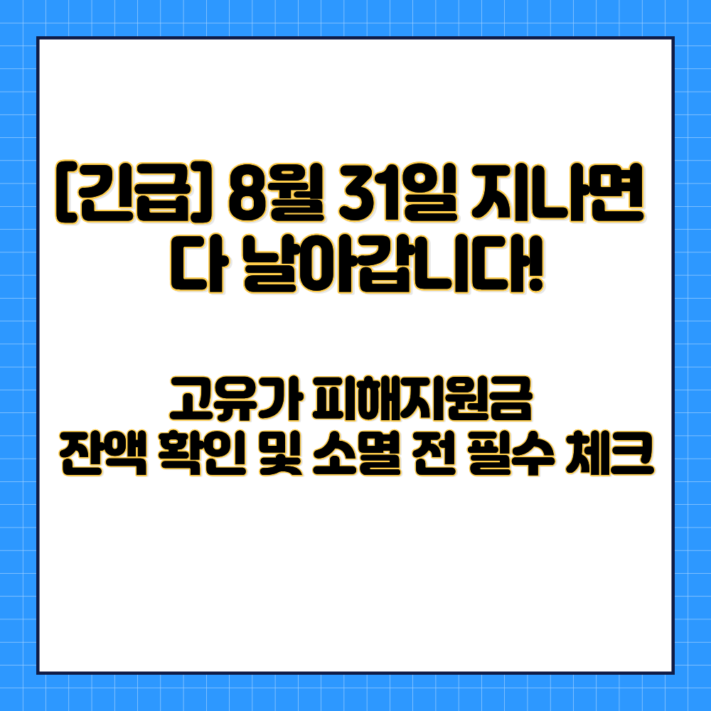 2026년 고유가 피해지원금의 신규 신청 팩트체크와 주유소 등 사용처 활용법, 그리고 8월 31일 소멸 전 잔액 확인 전략