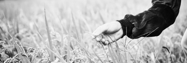 농업경영체 신청 서류