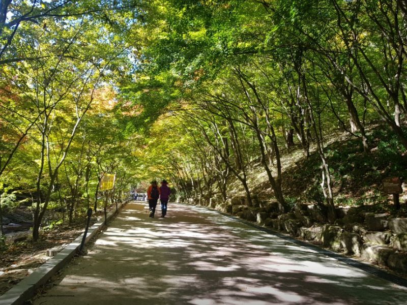 강천산