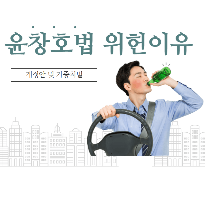 윤창호법 위헌이유