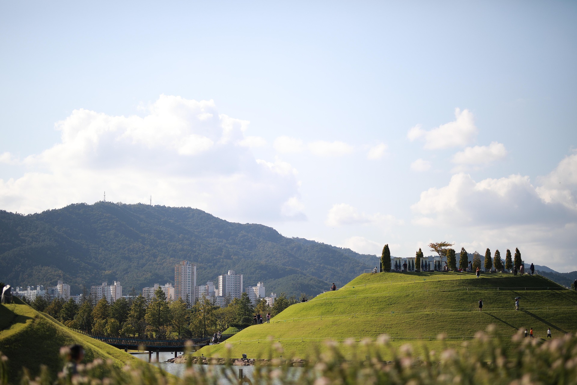 산책하기 좋은 도심 공원 – 힐링 산책 코스 완벽 가이드