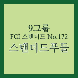 스탠더드푸들_썸네일