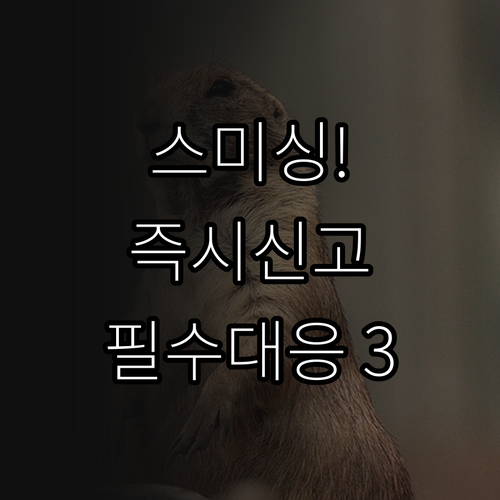 스미싱 피해 즉시 대응법 112 13..