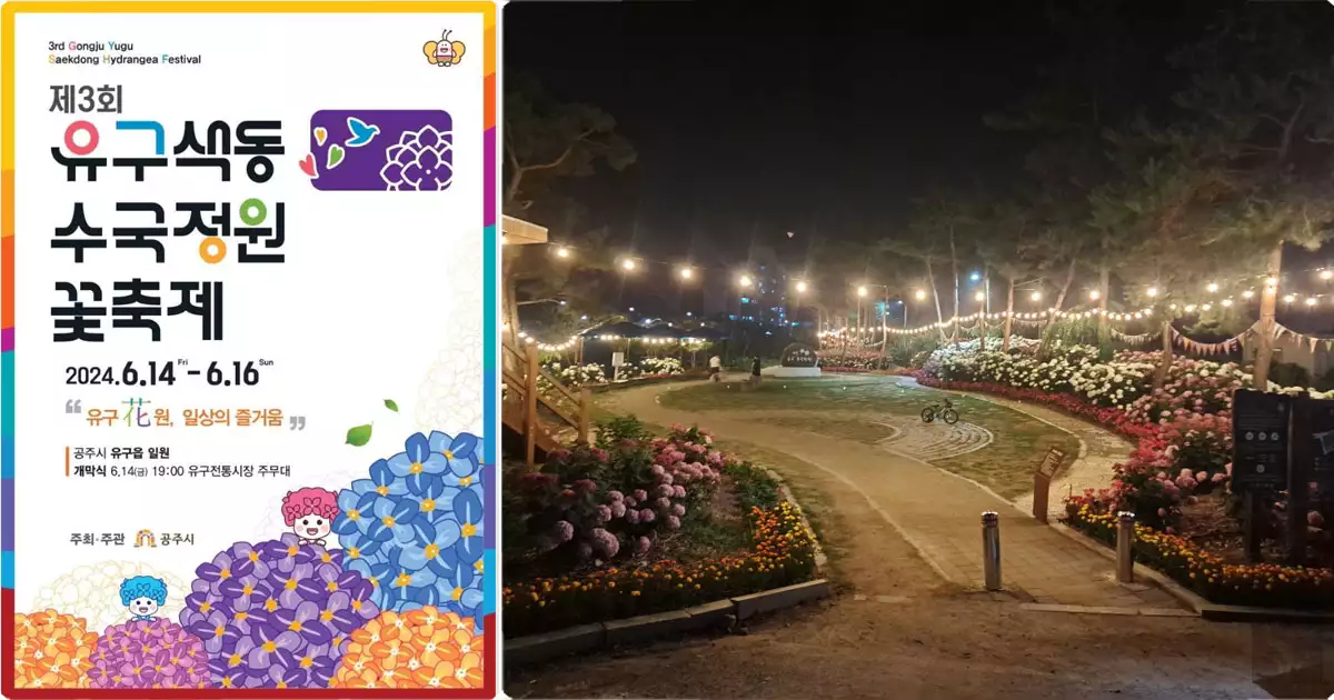 유구 색동수국정원 꽃죽제