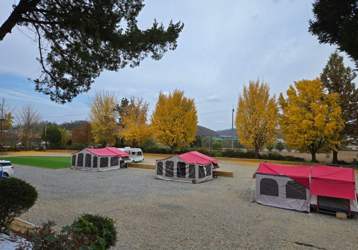 파주 캠핑장 추천