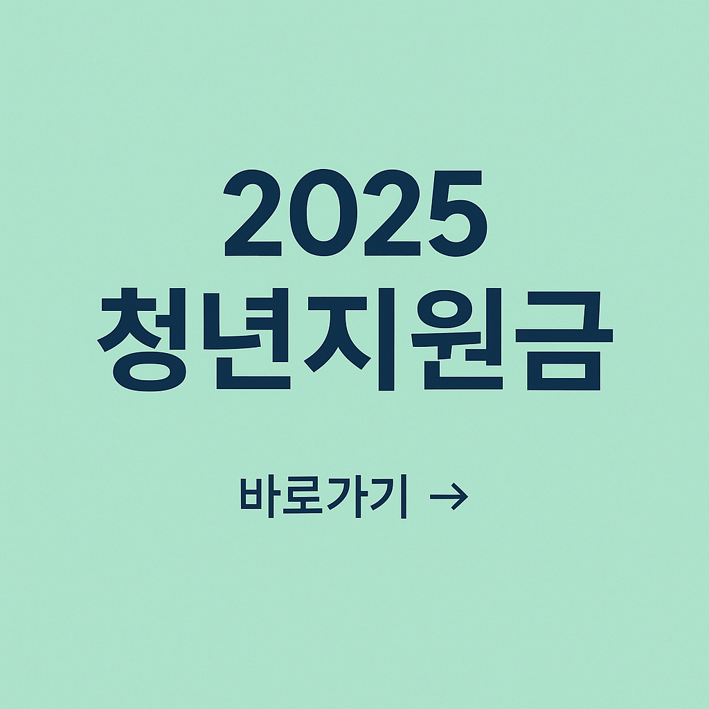 청년지원금
