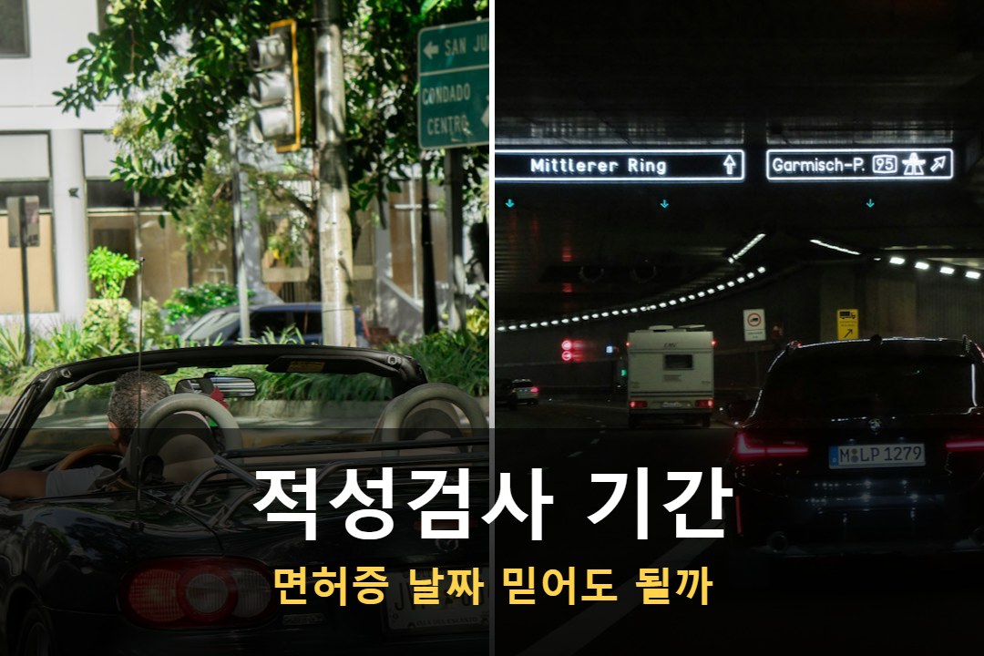 운전면허 적성검사 기간을 알리는 썸네일 이미지