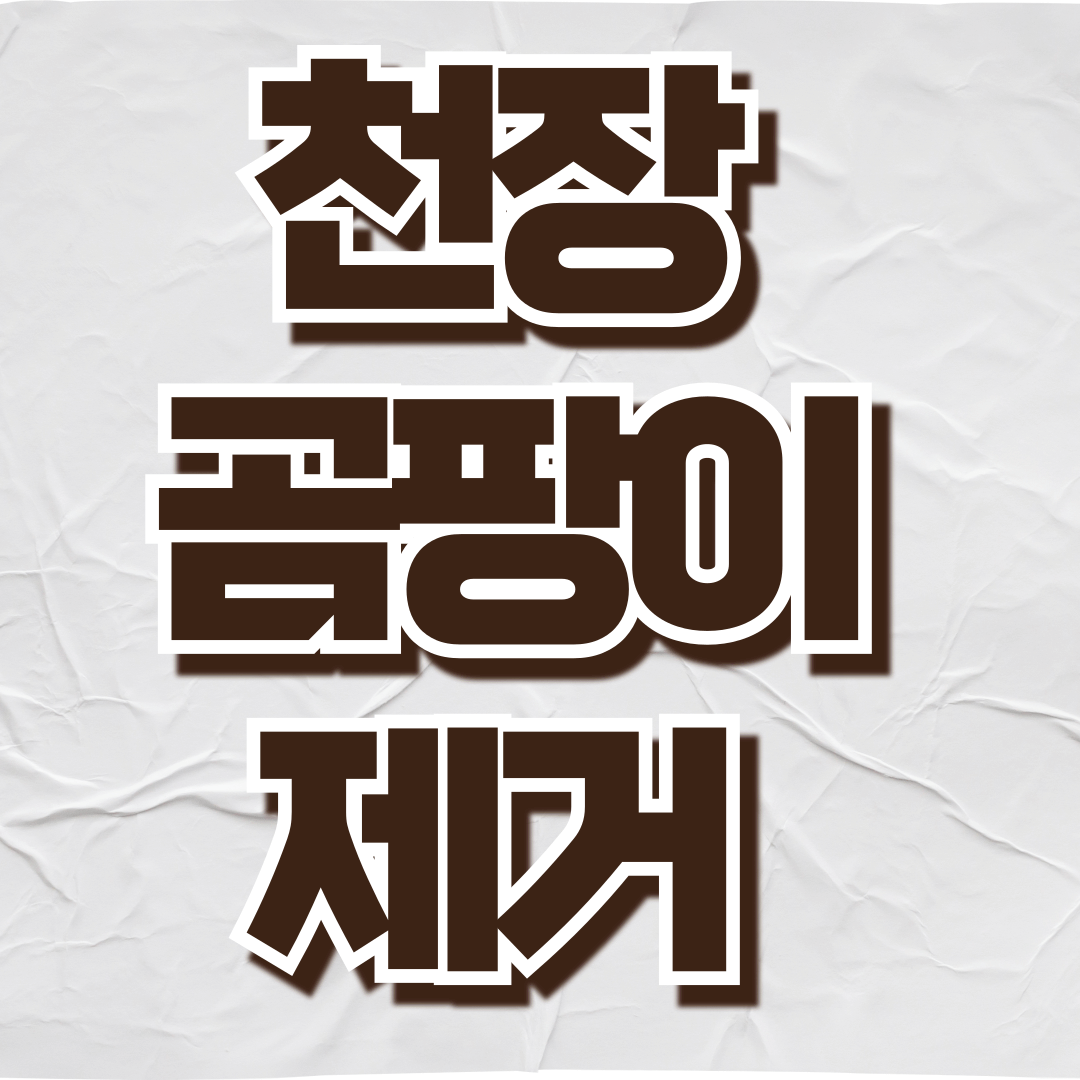 천장 곰팡이 제거